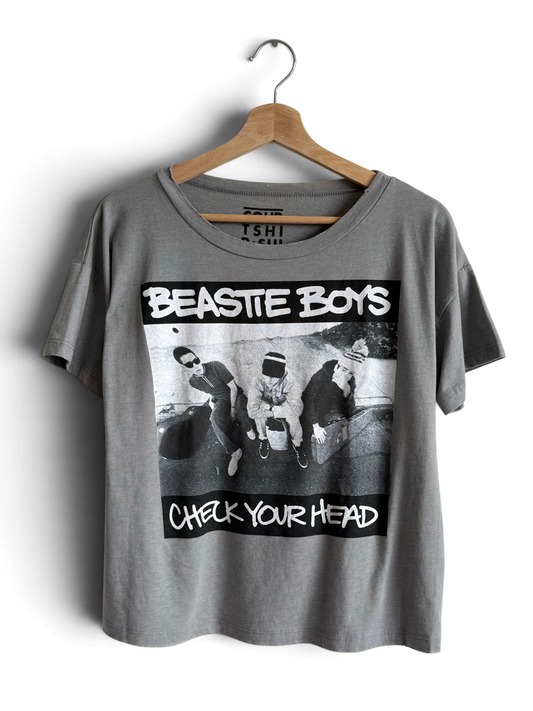 Beastie Boys Check Your Head Boxy t-shirt