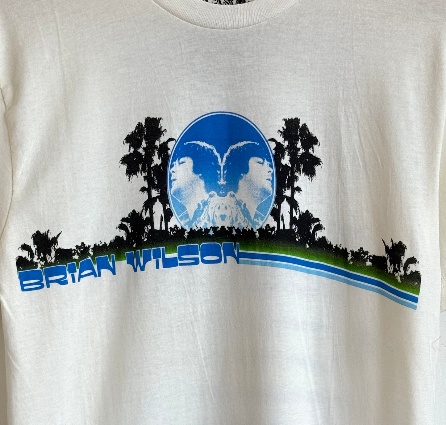 Brian Wilson Tour t-shirt