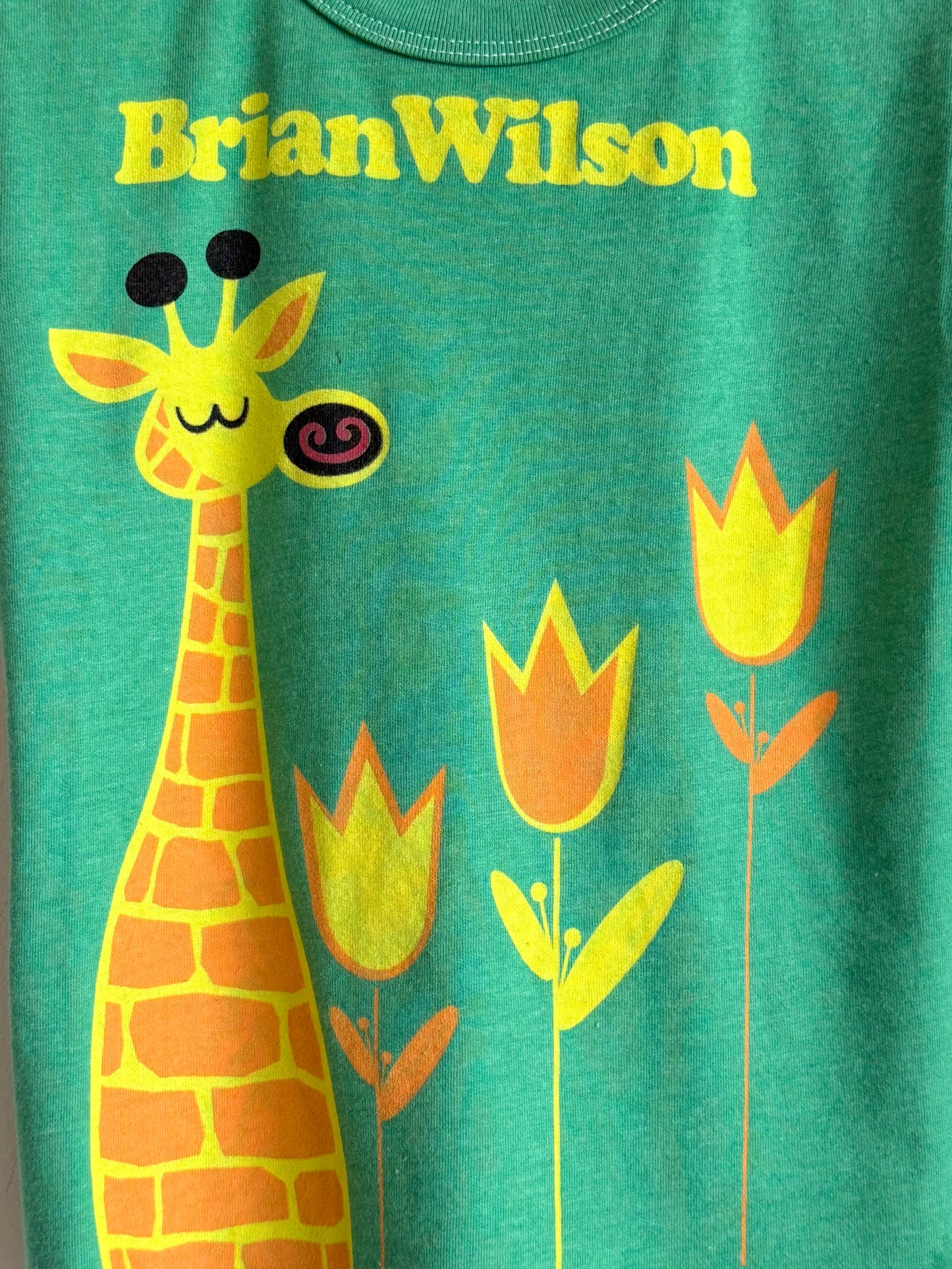 Pet Sounds Kids t-shirt