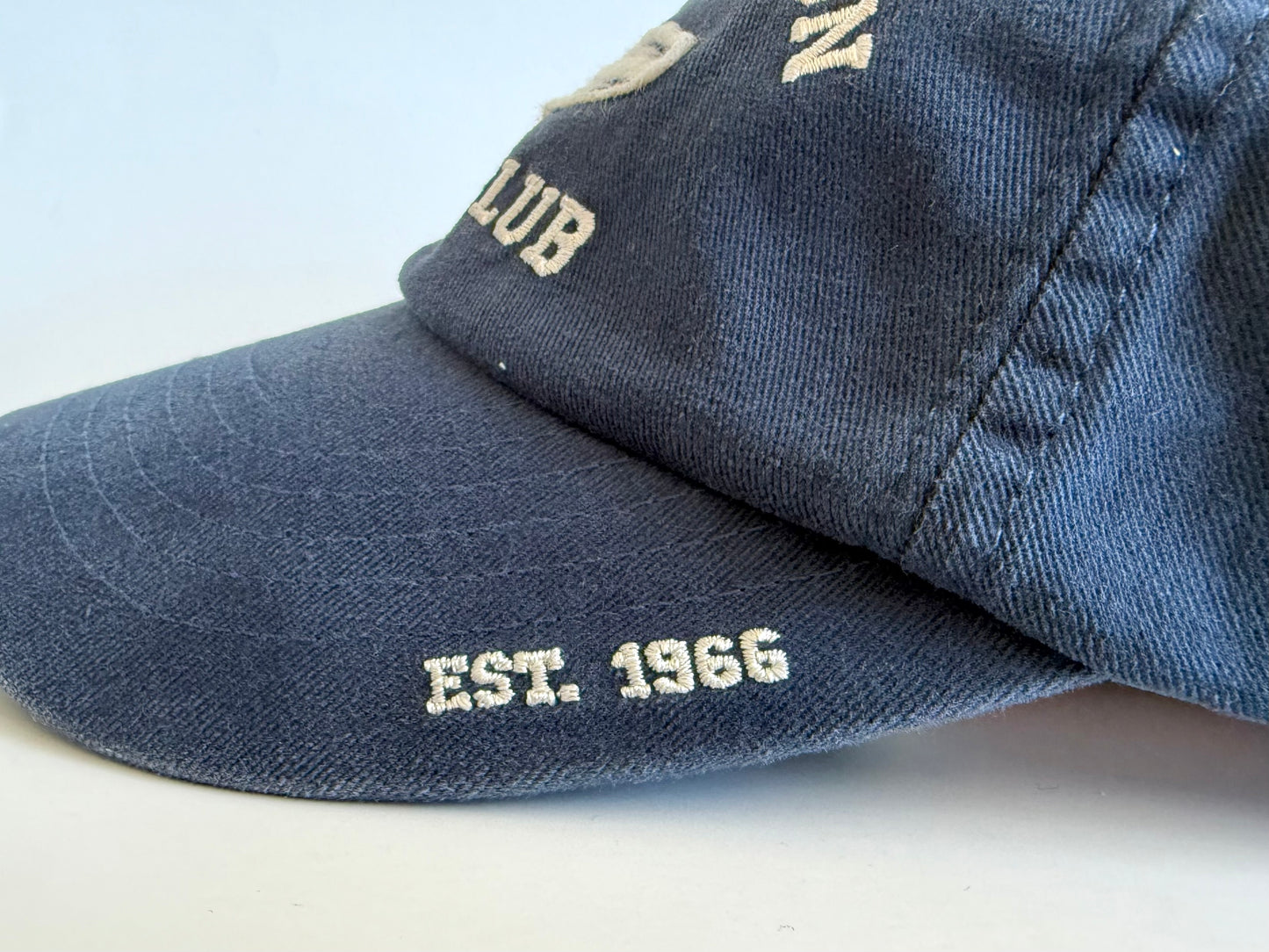 Brian Wilson Dad Hat
