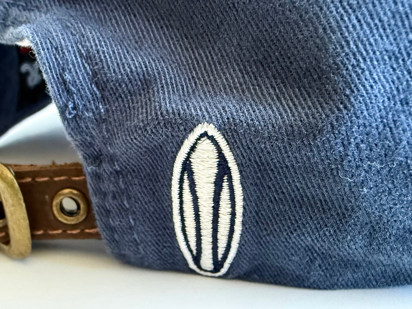 Brian Wilson Dad Hat