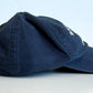 Brian Wilson Dad Hat