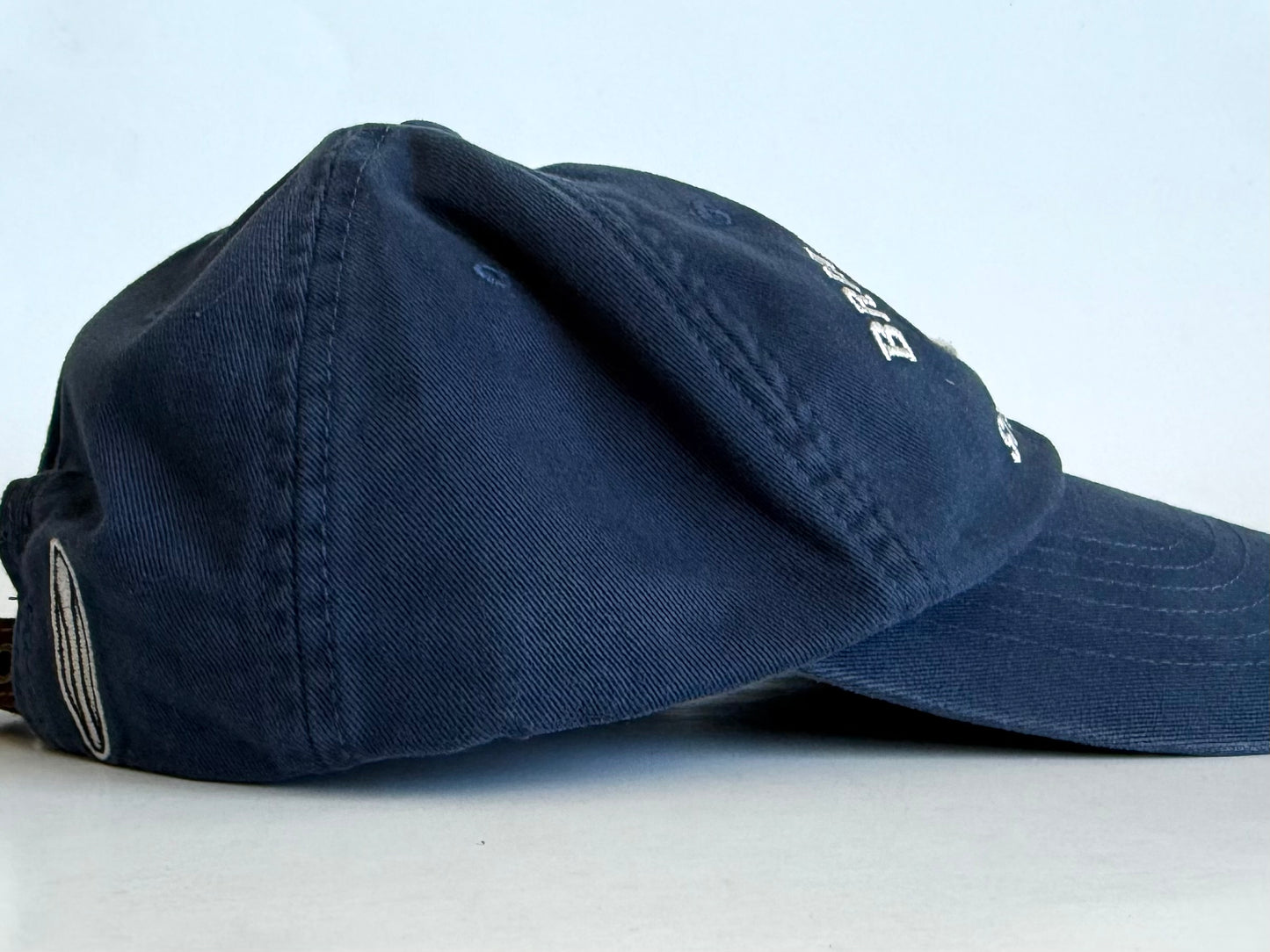 Brian Wilson Dad Hat