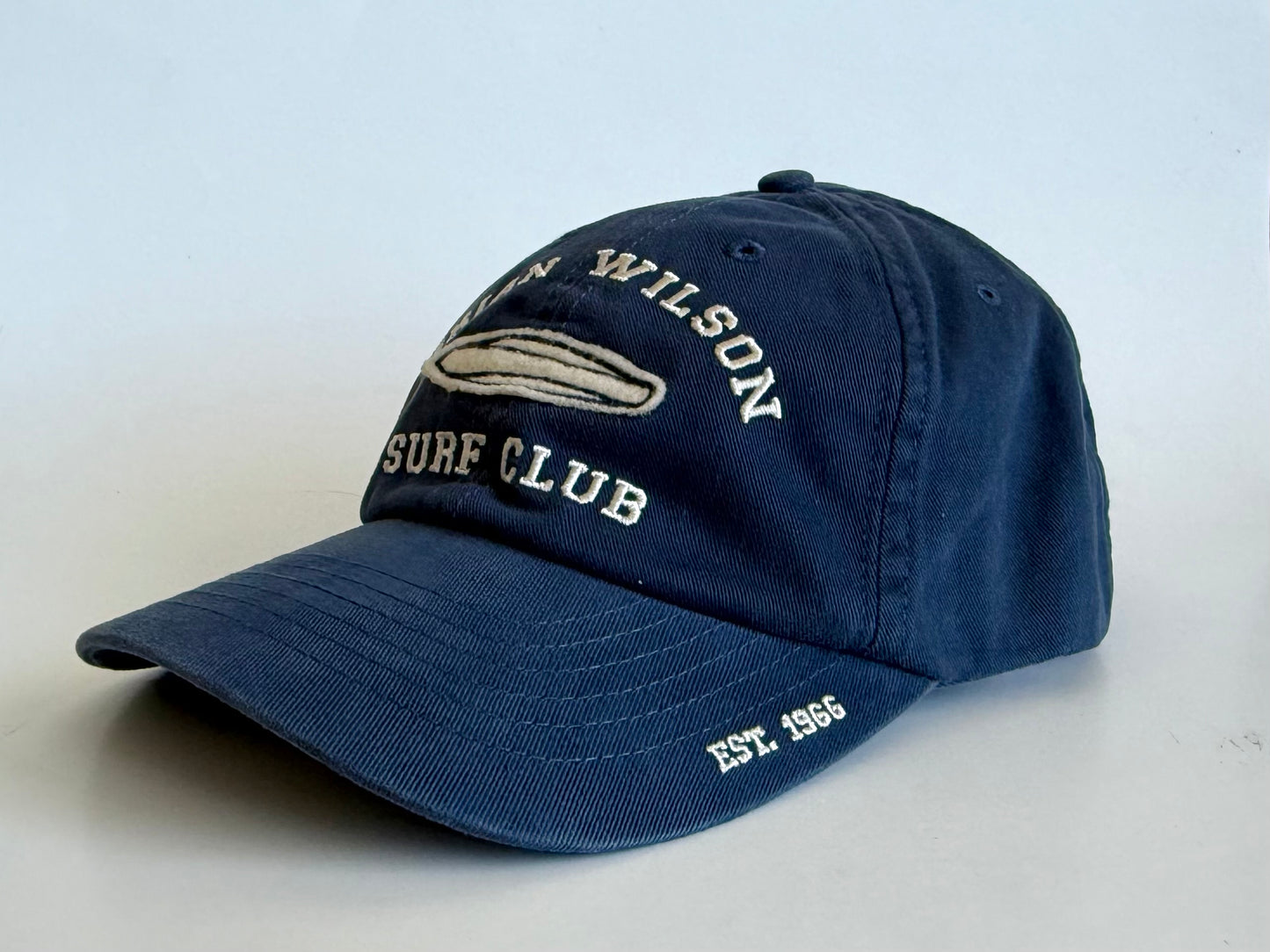 Brian Wilson Dad Hat