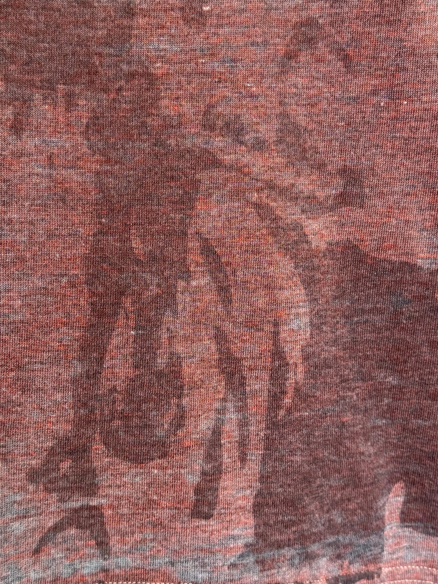 Pink Floyd "Atom Heart Mother" t-shirt