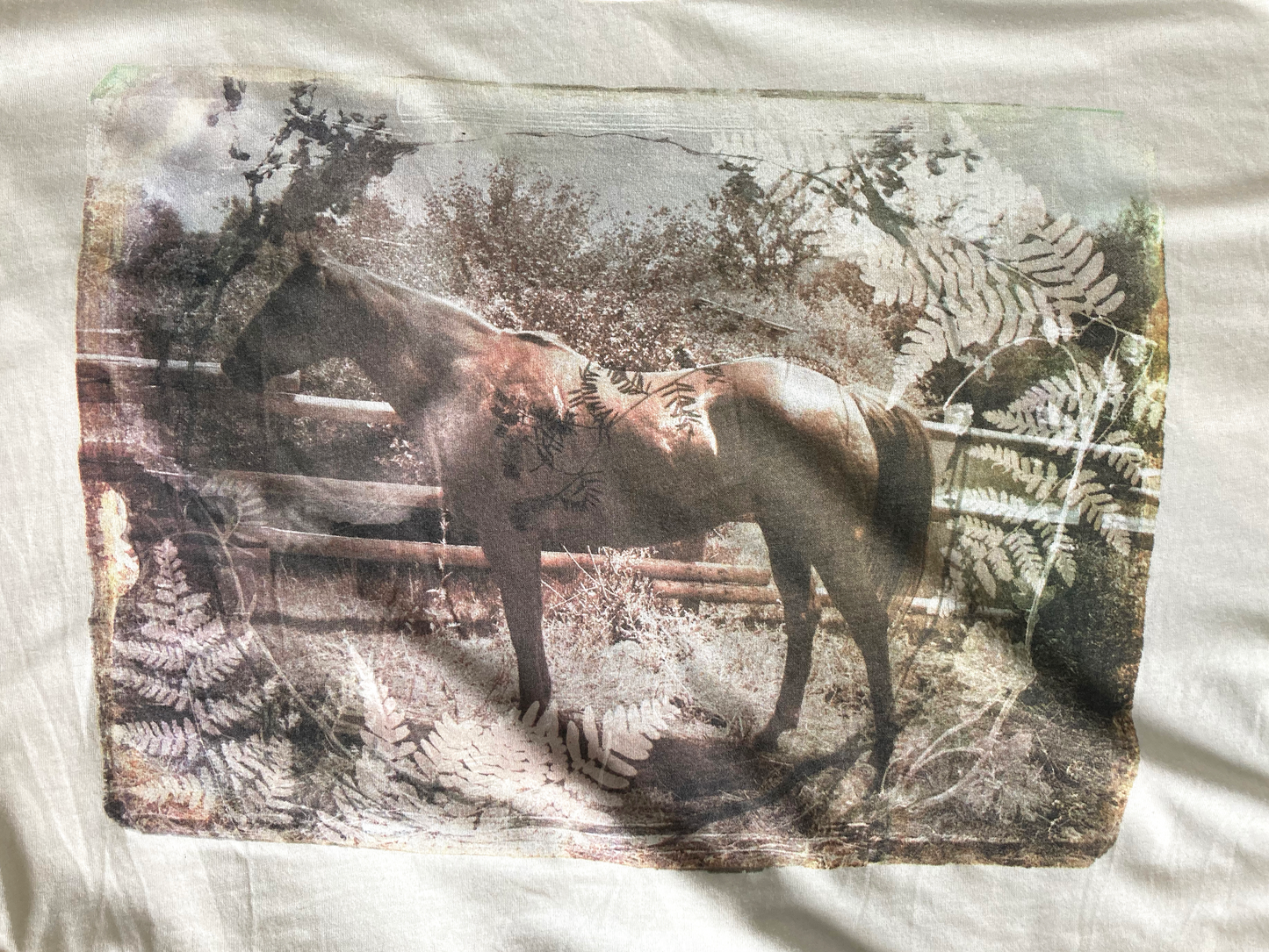 Horse Burnout Boxy t-shirt