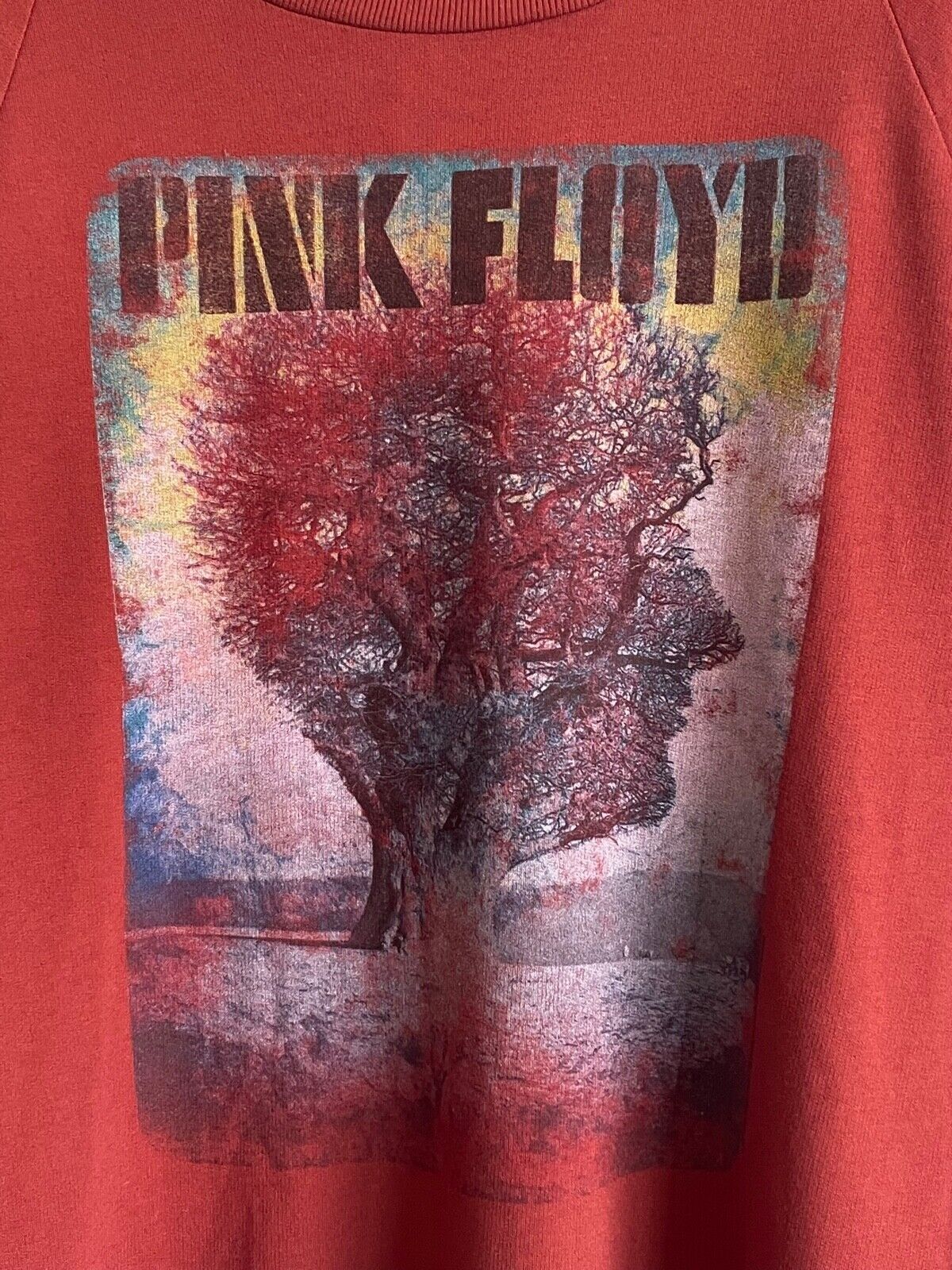 Pink Floyd "Tree of Half Life" Oversized Sweatshirt