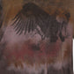 Eagle Boxy t-shirt