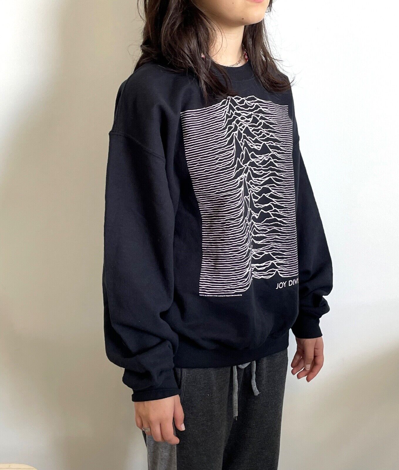 Joy Division "Unknown Pleasures" Sweatshirt