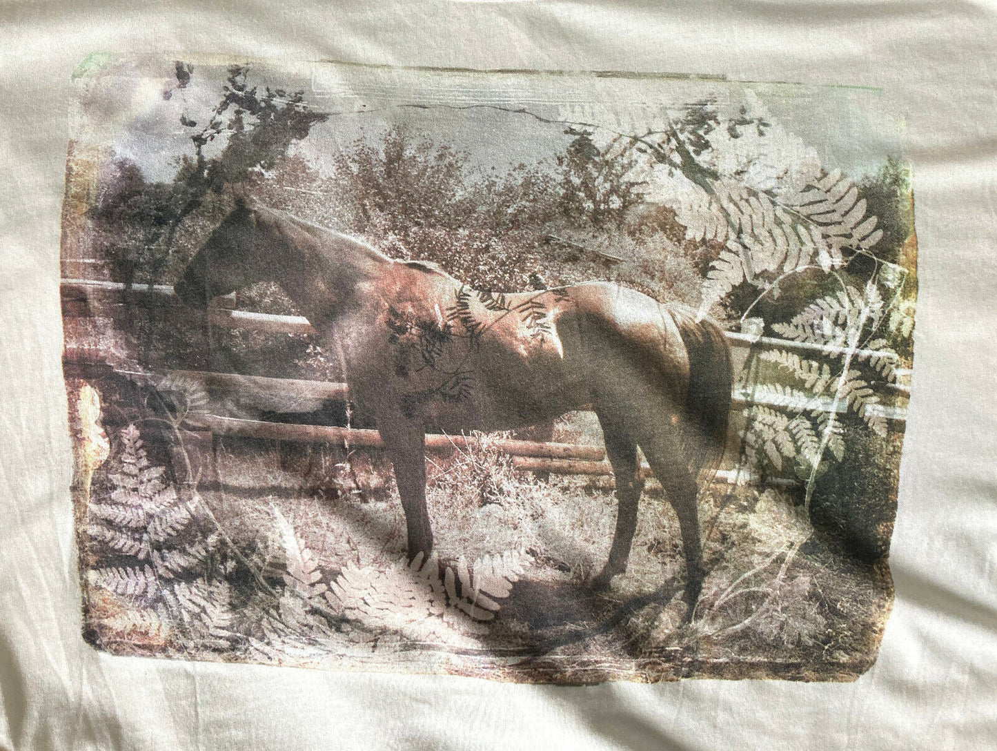 Horse Picture  Boxy t-shirt