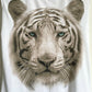 Tiger Sleeveless t-shirt